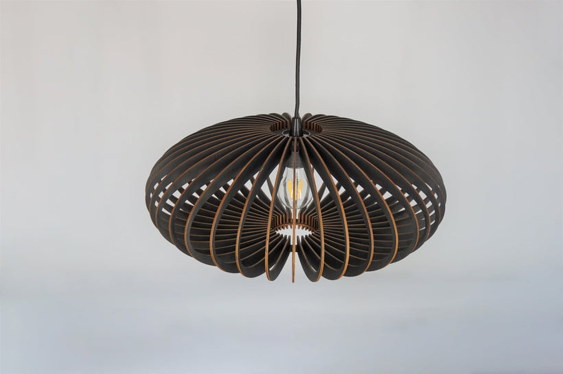 Black pendant lights